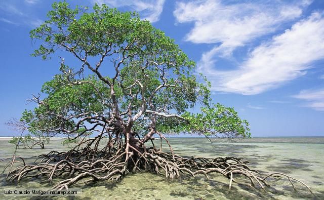 640x395 Readsthe Twins This Is