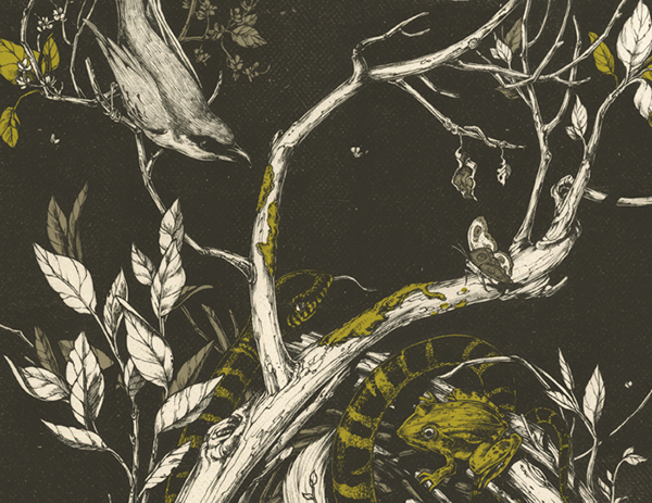 600x463 The Mangrove Tree On Behance