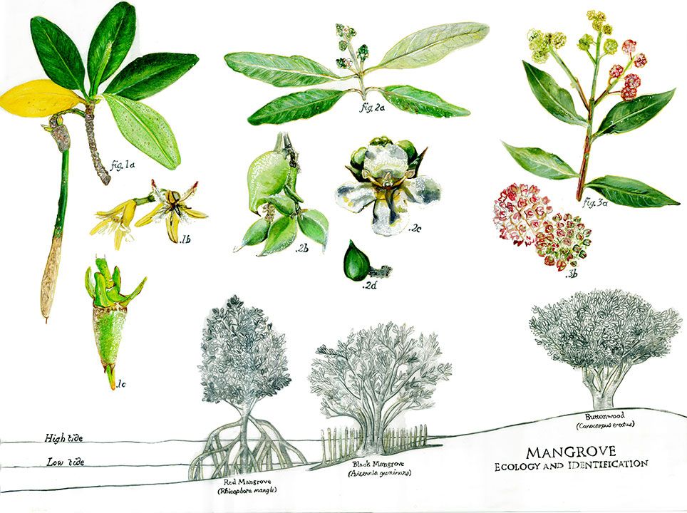 964x720 Sam Bloomfield