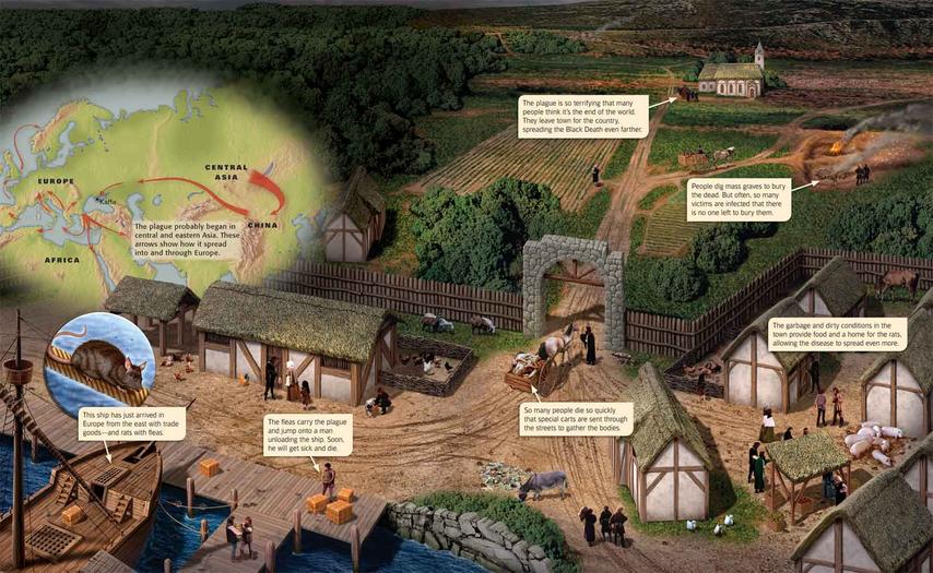 854x525 Mrgrayhistory