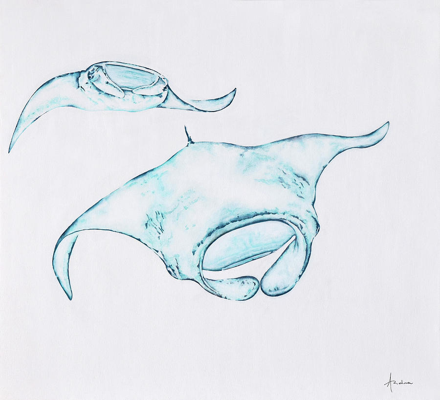 900x818 Manta Ray Painting By Andrea Angulo