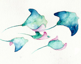 340x270 Mantaray Etsy