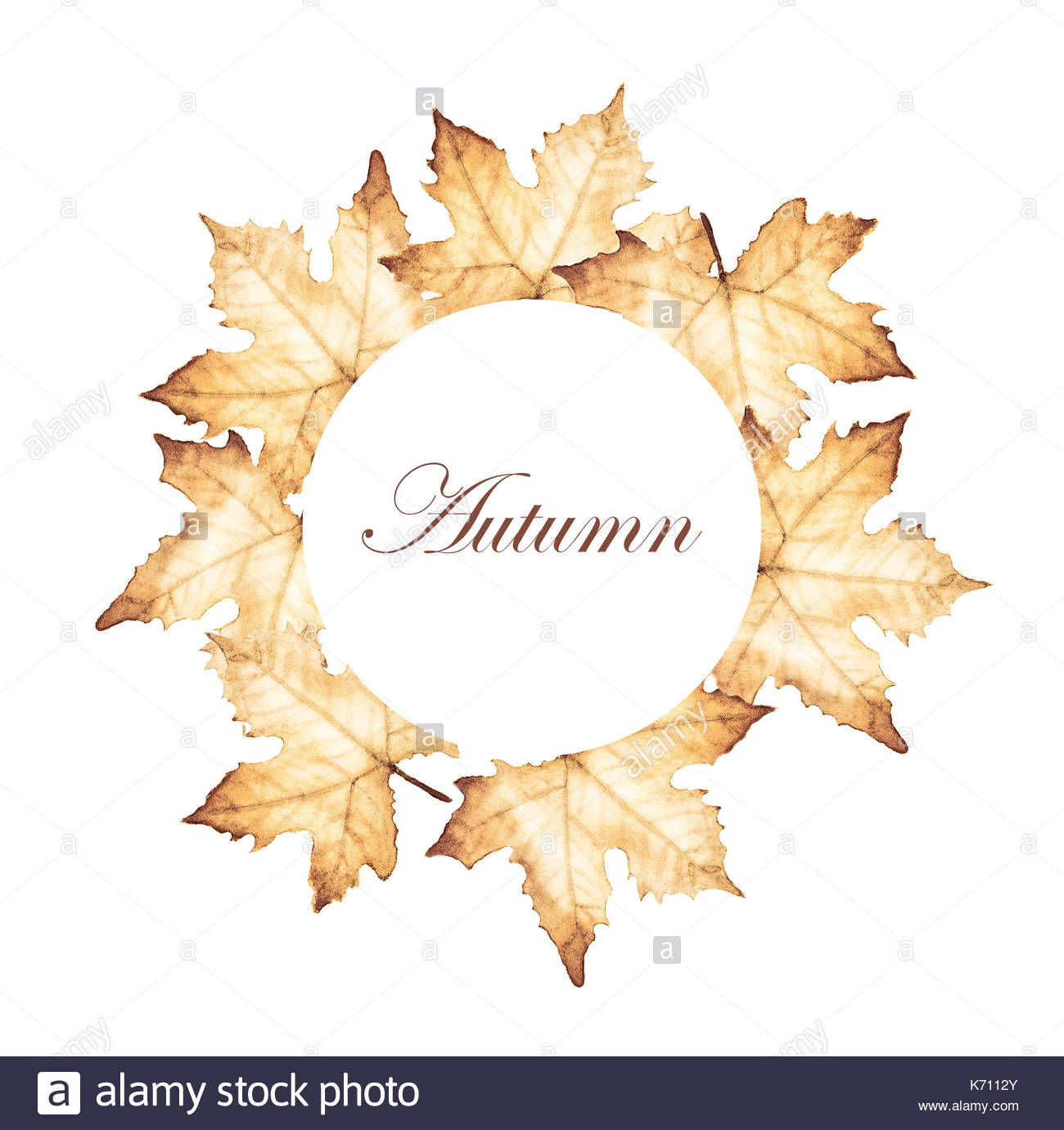 1300x1381 Watercolor Painting Of Autumn Circle Frame With Maple Leaves