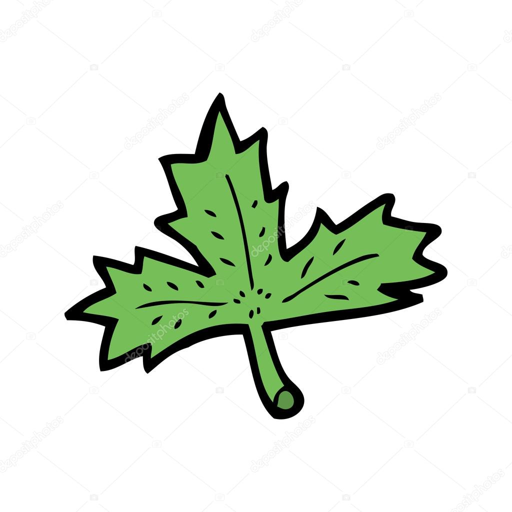 1024x1024 Maple Leaf Drawing Stock Vector Lineartestpilot