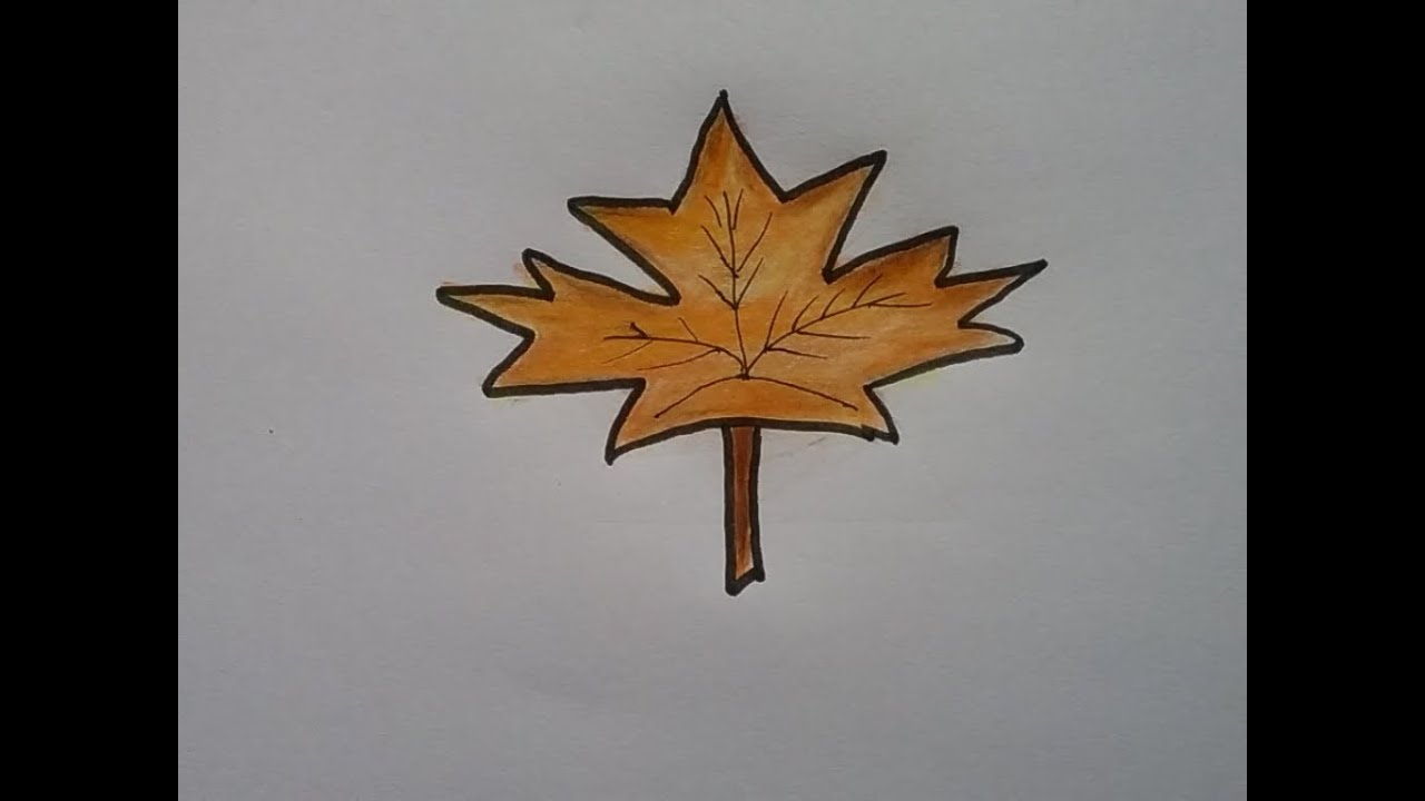 1280x720 How To Draw A Maple Leaf , Autumn Leaf Drawing, Colour Pencil