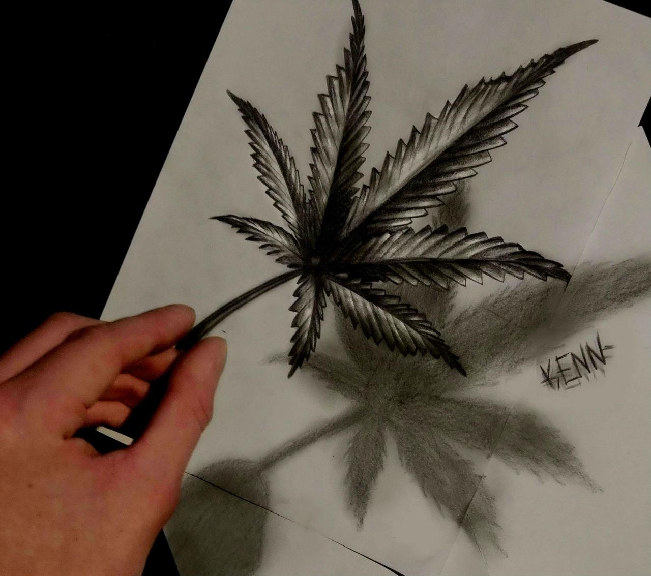 1280x1133 Awesome 3d Drawing Awesome 3d Drawing Of A Marijuana Leaf. Trees