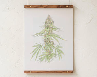 340x270 Cannabis Print Etsy