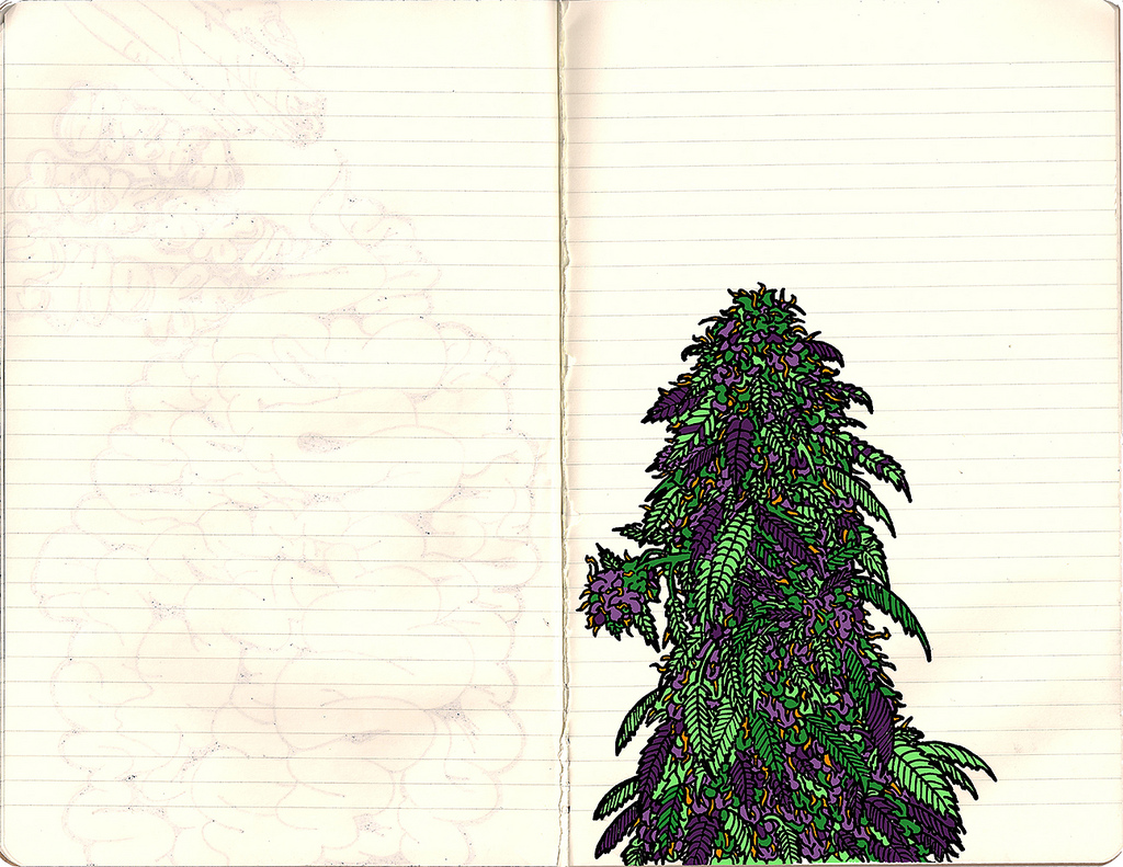 1024x791 Marijuana Drawing Sort Graffiti Styled Drawing