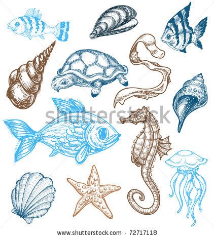 422x470 Marine Life Drawing By Danussa, Via Shutterstock Embroidery