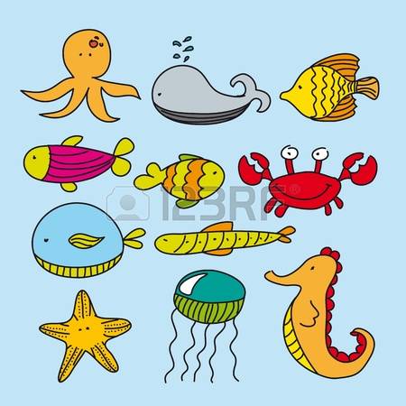 450x450 Cute Marine Animals, Hand Drawing. Vector Illustration Photo