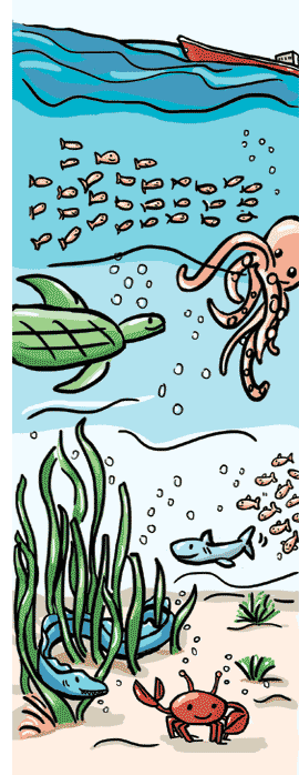 270x698 Marine Environment Seafarer's Guide To Environmental Law