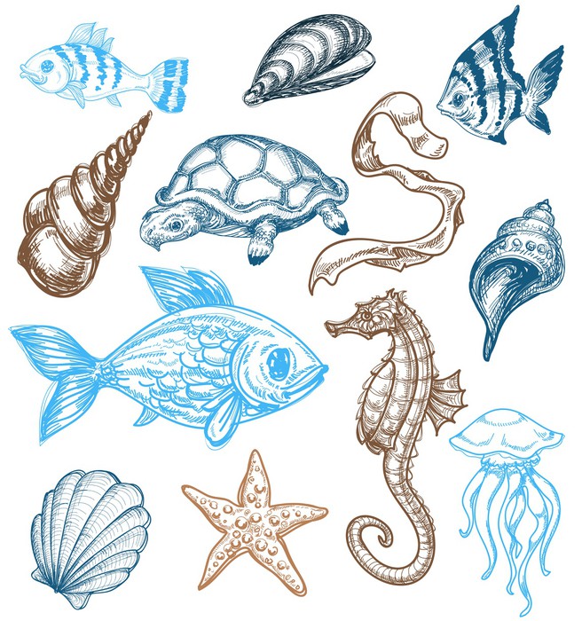 656x700 Marine Life Drawing Wall Decal We Live To Change