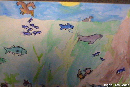 500x334 Stellwagen Bank Nms Marine Life Drawing