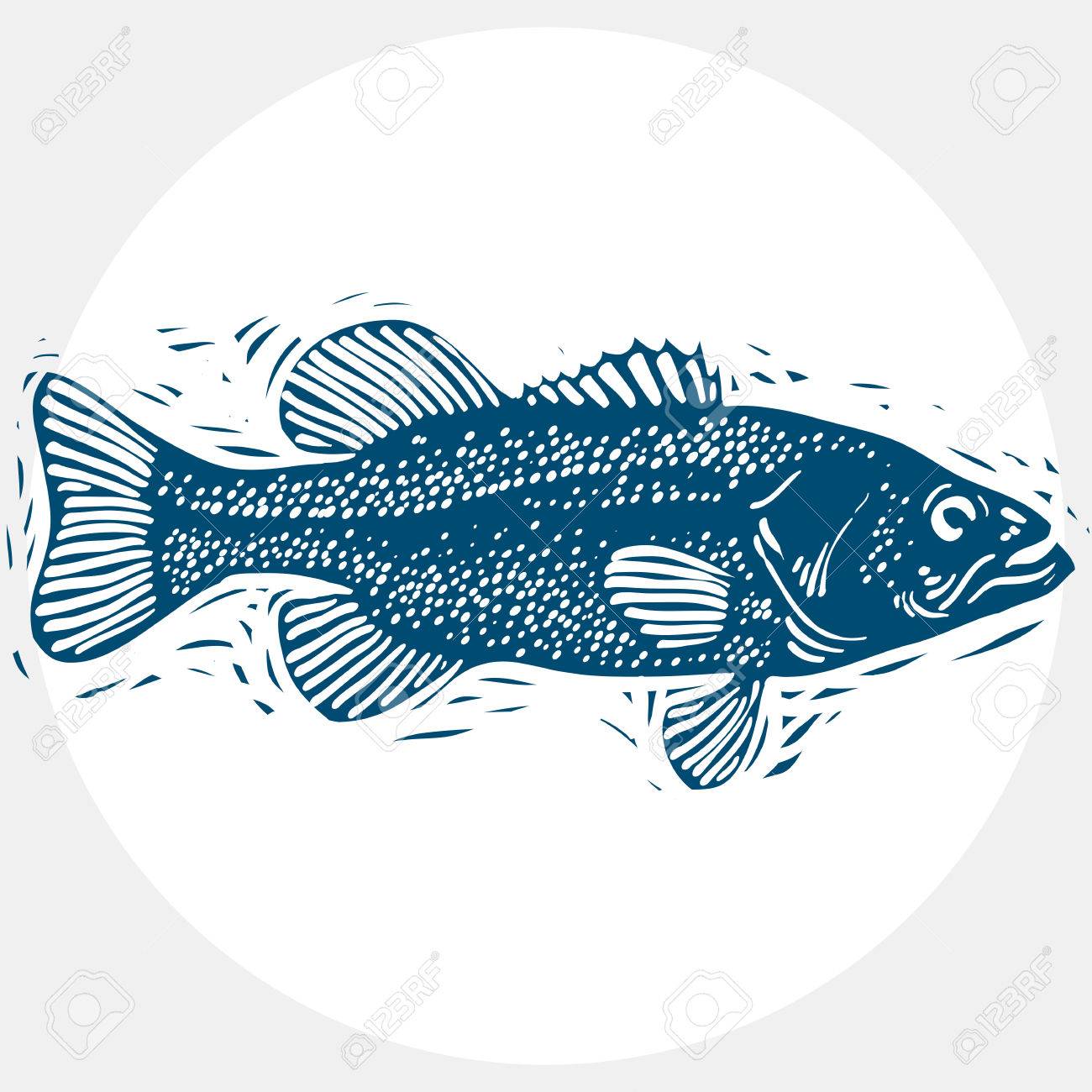1300x1300 Fish Species, Vector Marine Fauna Symbol. Hand Drawn Silhouette