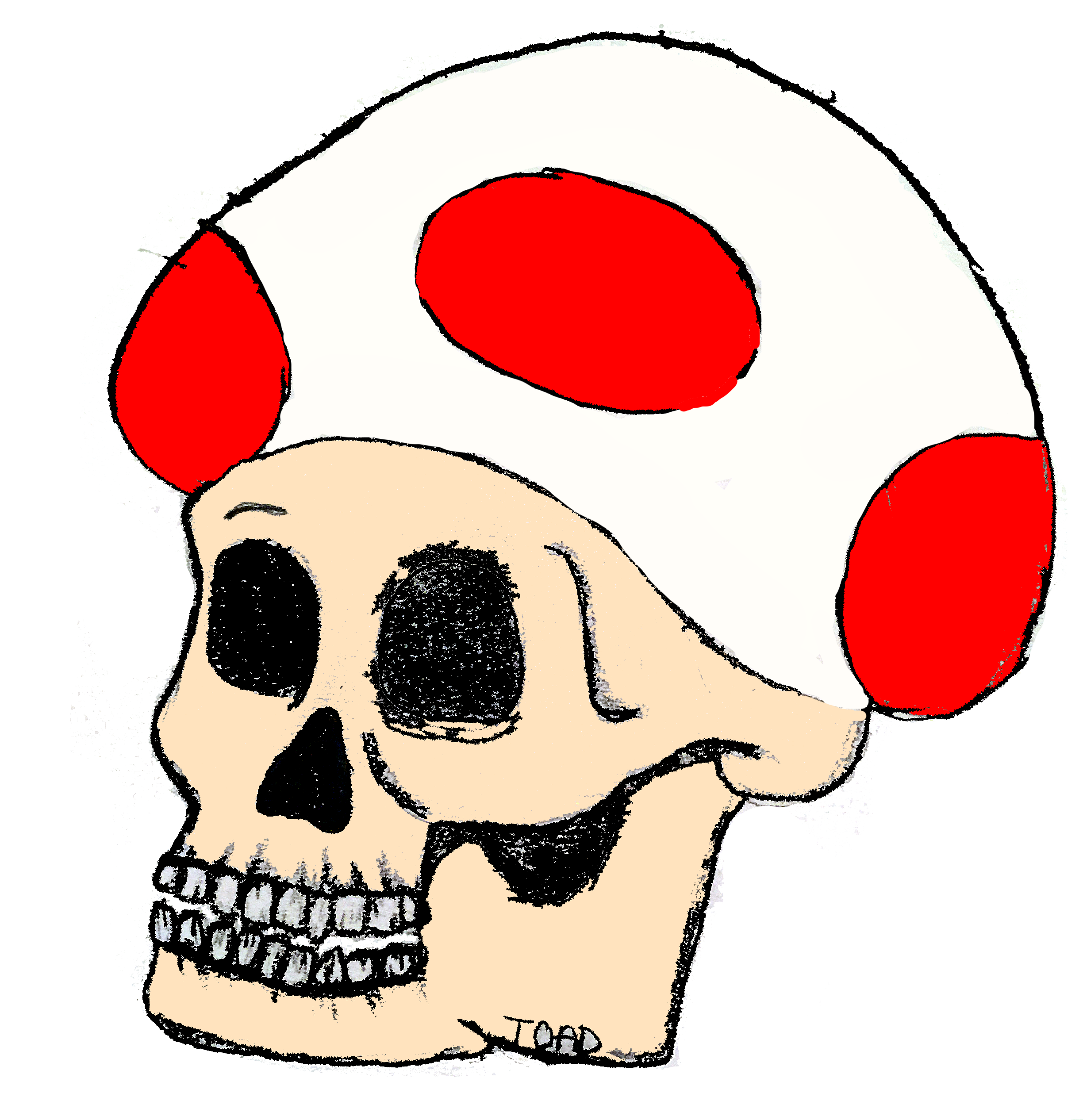2448x2532 Toad,mario,skull,head,mushroom,drawing Crap