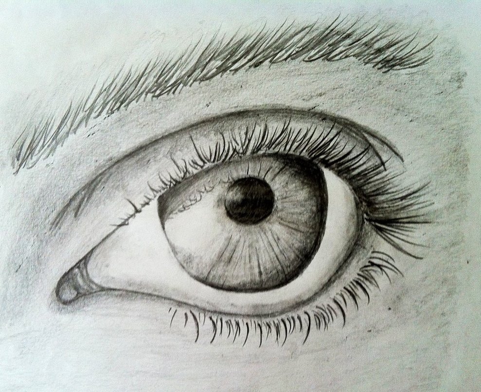989x807 Eye Drawing