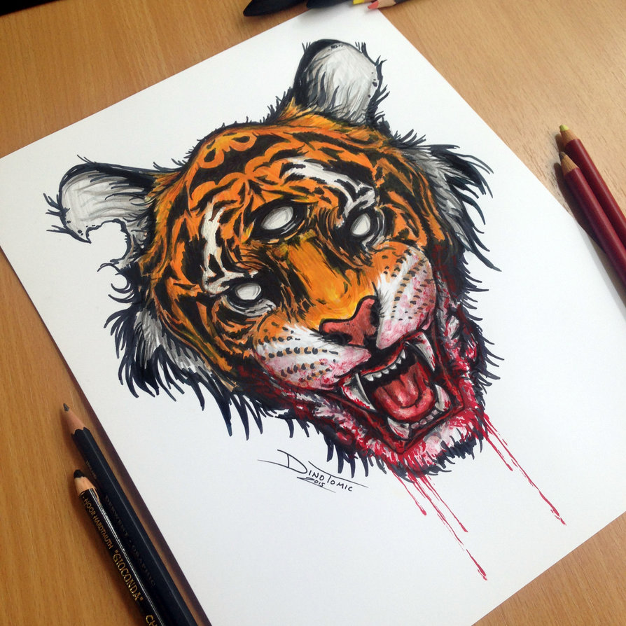 894x894 Tiger Marker Drawing By Atomiccircus