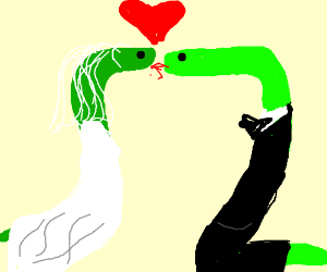 300x250 Two Snakes Getting Married