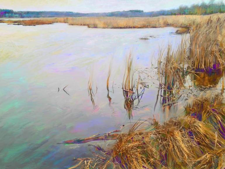 770x578 Saatchi Art Mendon Ponds Marsh Drawing By Cathryn R Leyland