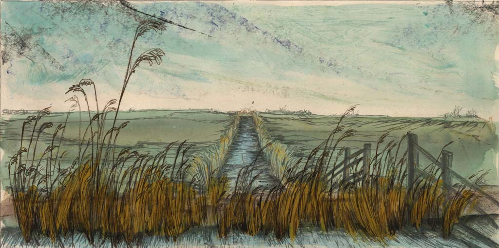 1024x510 The Broads Drawings Walk 2 Neil Bousfield