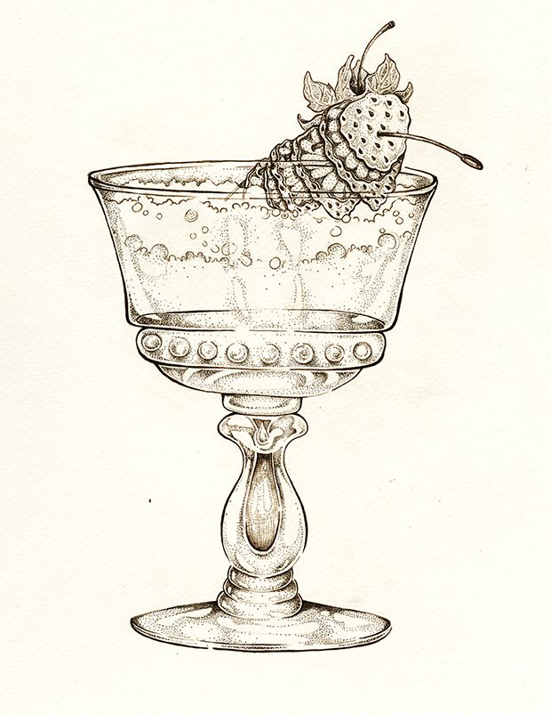 620x802 Vintage Cocktail Illustration, Art By Ellie Lukova Ink Drawing