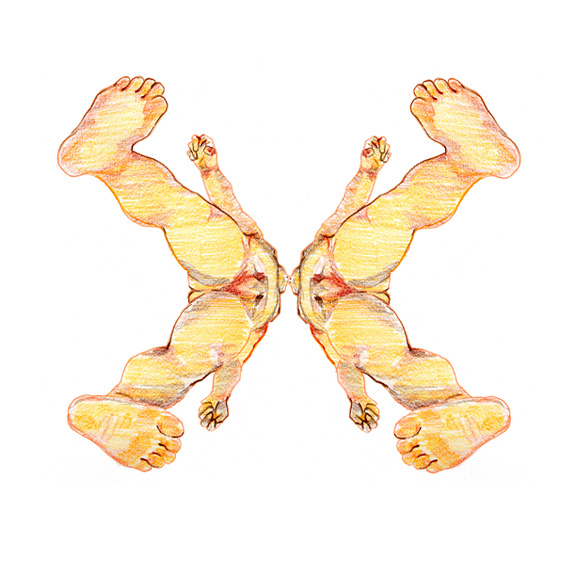 576x576 Mask Drawing 04 Full