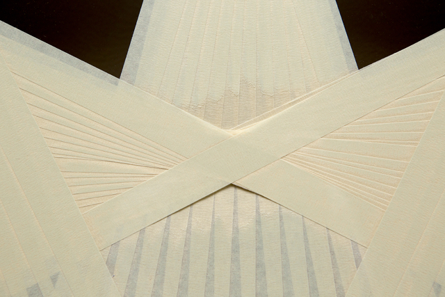 640x427 Ryan Roa Tape Drawings