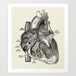 264x264 Medical Art Prints Society6
