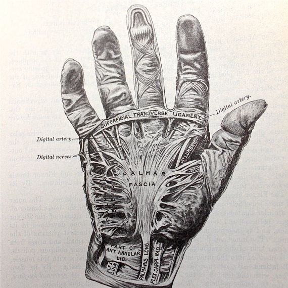 570x570 Medical Diagram Of How To Wash Your Hands Vintage Old