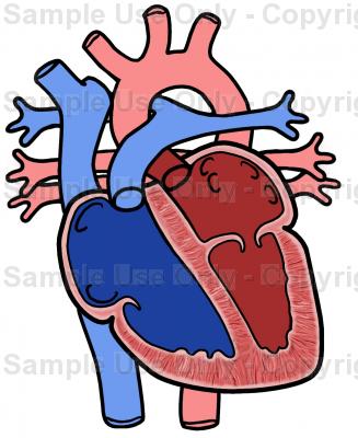 327x400 Chambers Of The Heart