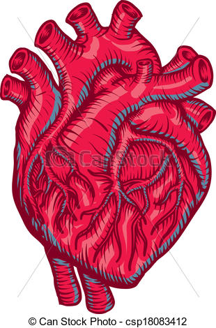 310x470 Medical Heart Vector Clip Art