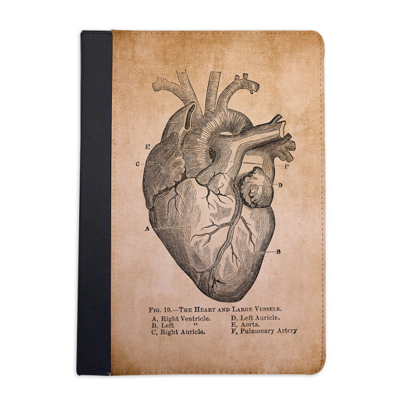570x570 Vintage Medical Illustration Heart Folio Case. Ipad 234
