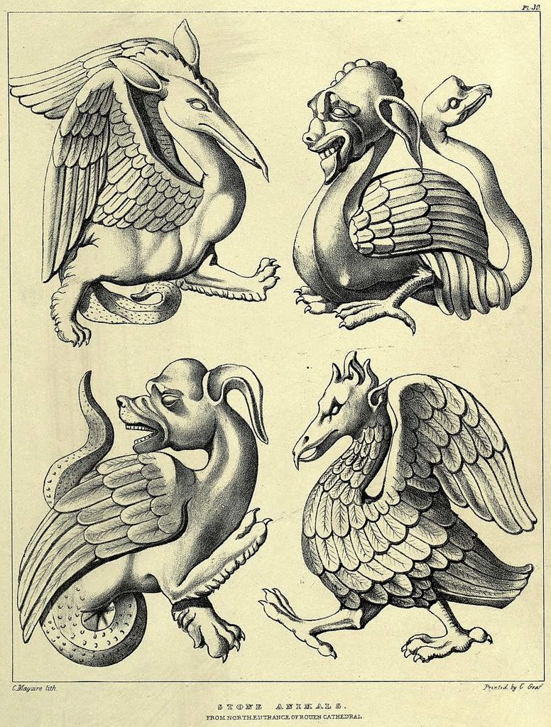 776x1024 Gothic Ornaments (39) Fabulous Beasts, Medieval And Beast