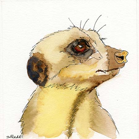 450x450 Wildlife Drawings Meerkats By Stuart Fowle