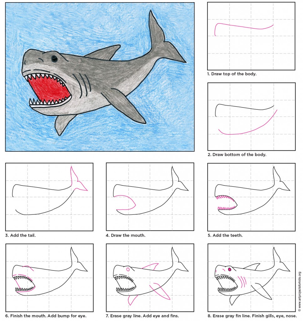 969x1024 Draw A Shark