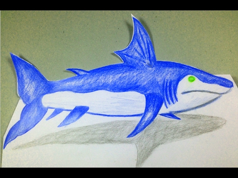 480x360 Drawing Megalodon