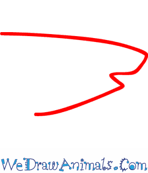 300x350 How To Draw A Megalodon Shark