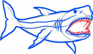 302x177 How To Draw How To Draw Megalodon, Megalodon Shark