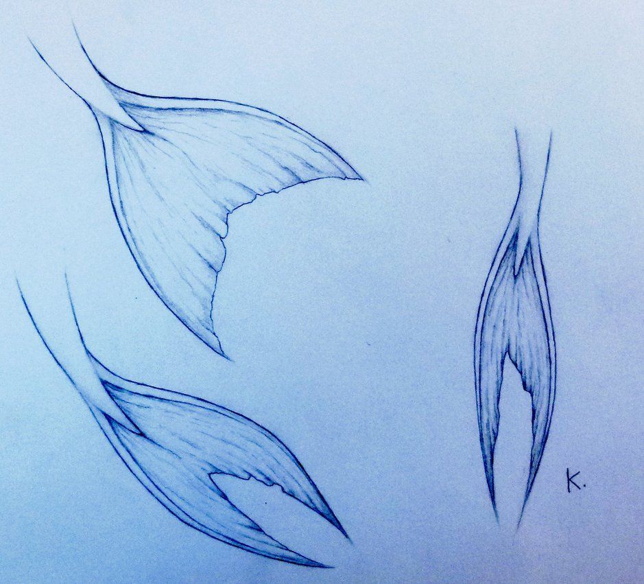 939x851 Mermaid Tails Drawing Mermaid Tails By Kawaiislug Everything You