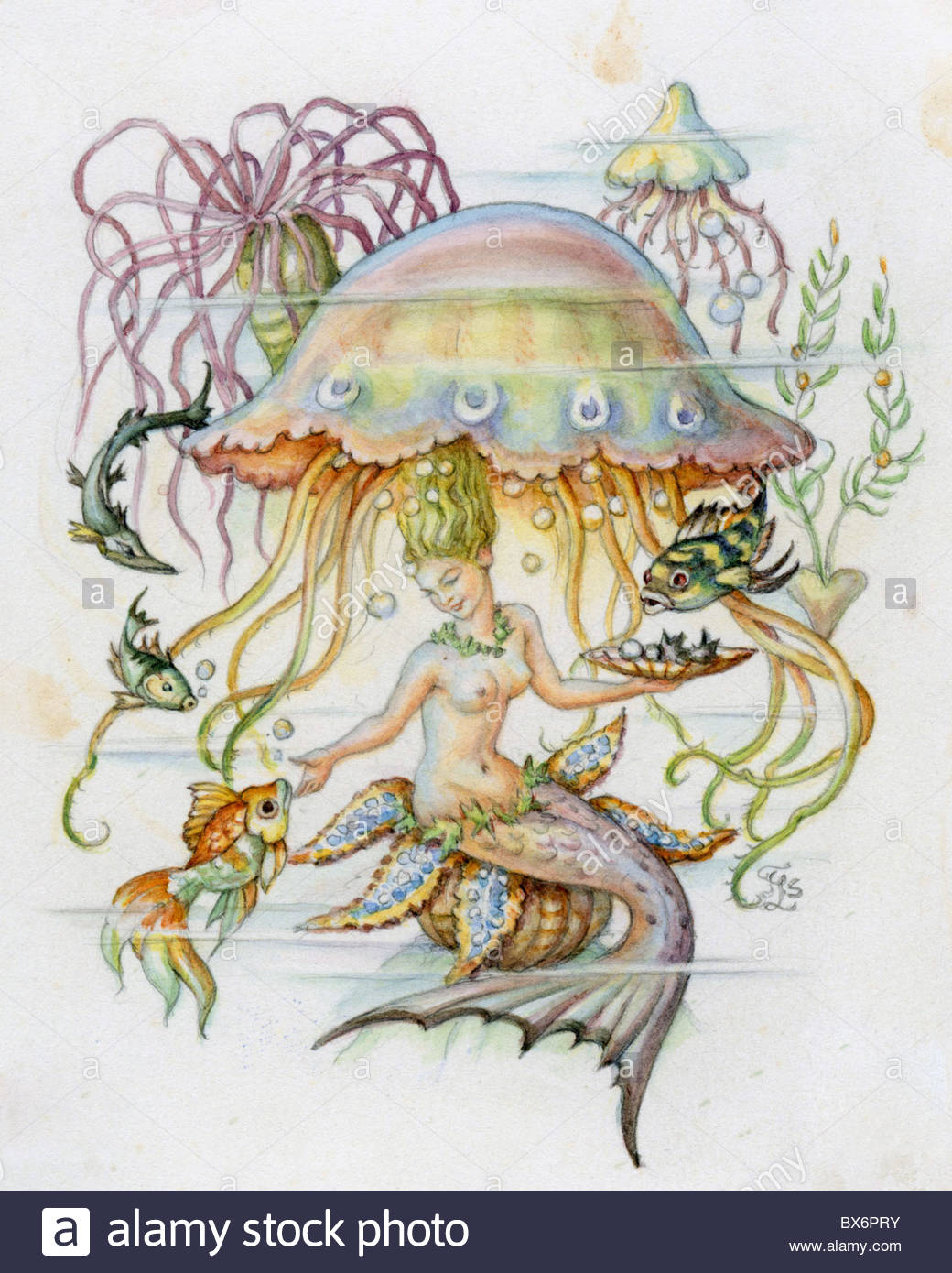 1040x1390 Superstition, Mythical Creatures, Mermaid, Coloured Drawing Stock