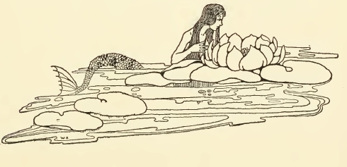 490x237 Mermaid Drawing