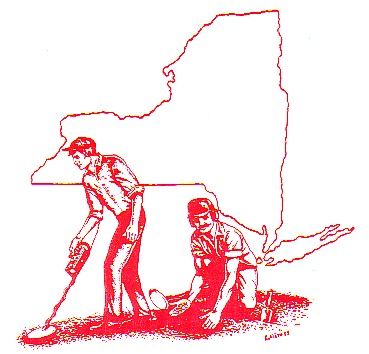 369x354 Metal Detector Distributors