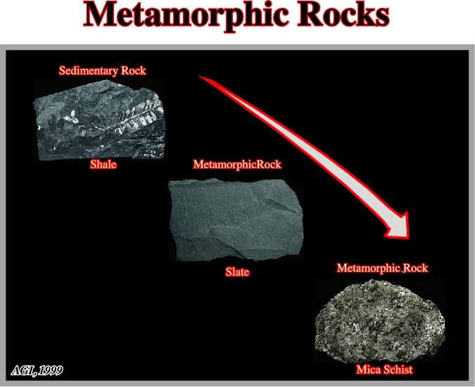 675x550 Page M (Terms)