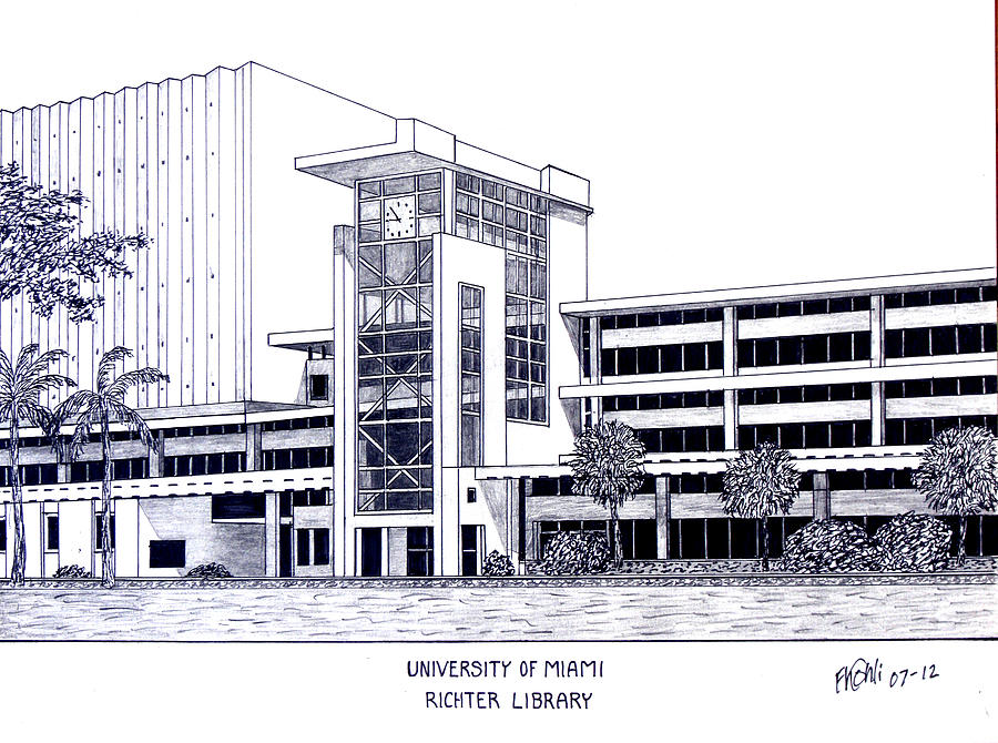 900x670 University Of Miami Drawing By Frederic Kohli
