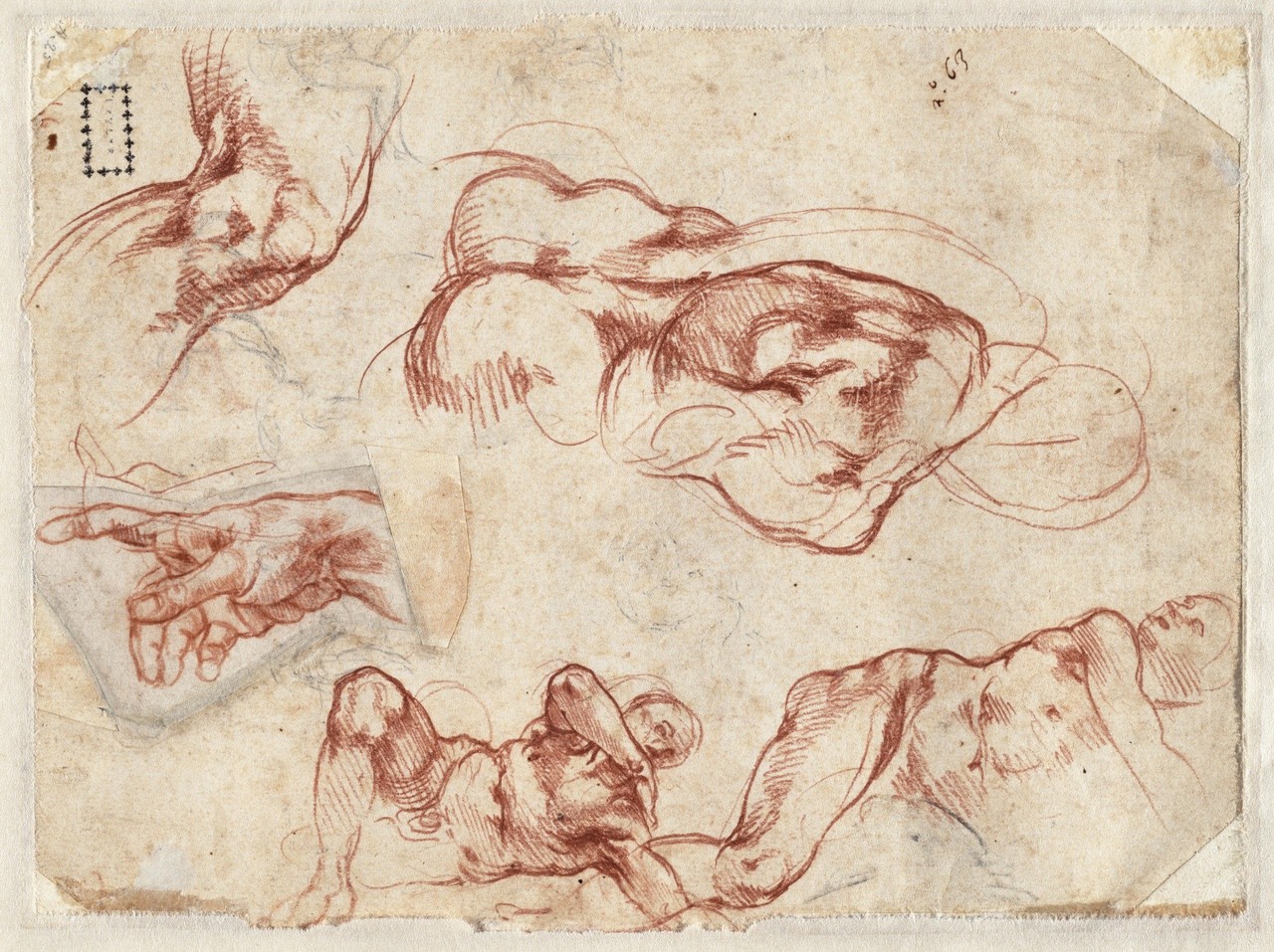 1280x957 Spencer Alley Michelangelo Drawings