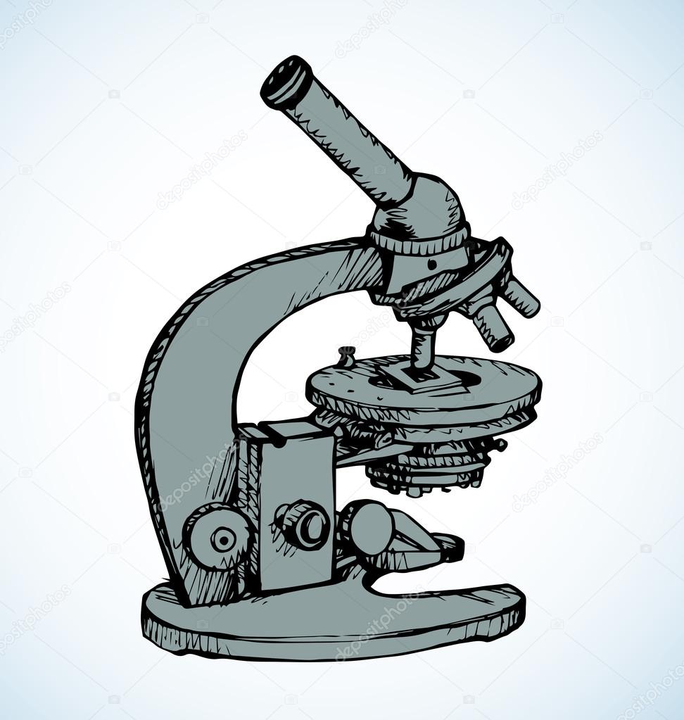 972x1023 Microscope. Vector Drawing Stock Vector Marinka