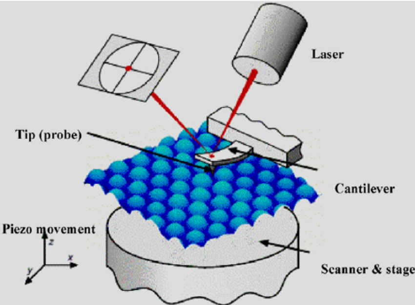 850x624 Drawingdiagram Of An Atomic Force Microscope.