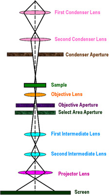 230x400 Diagram Of Electron Microscope Optics Amp Binoculars