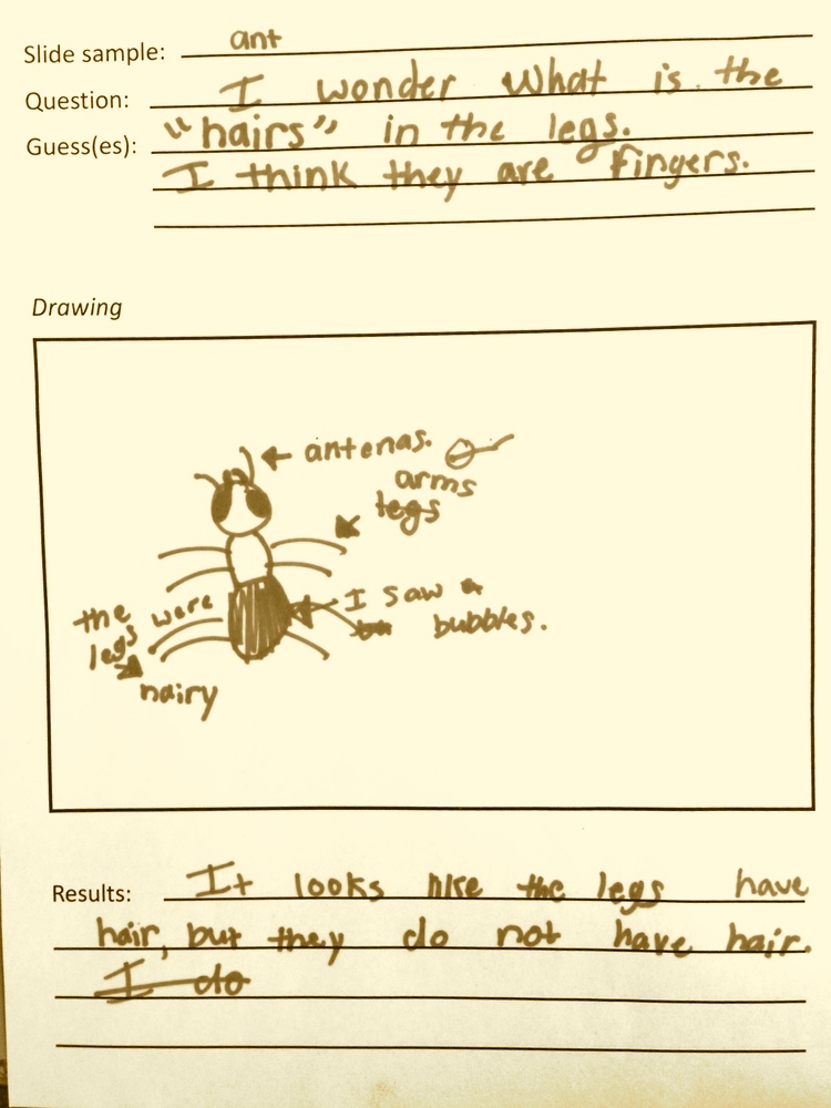750x1000 Free Diy Microscope Kits To Citizen Scientists With Inspiring