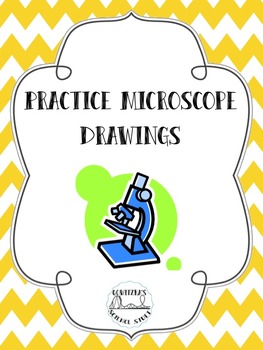 263x350 Microscope Drawings Teaching Resources Teachers Pay Teachers